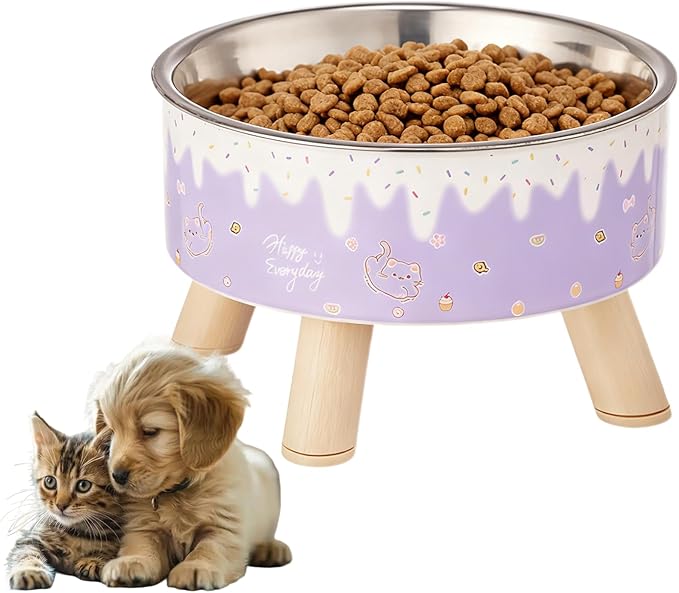 Raised Cat Food Bowls,Elevated Kitten Bowls for Indoor Cats Ergonomic Cat Food Water Bowls Purple