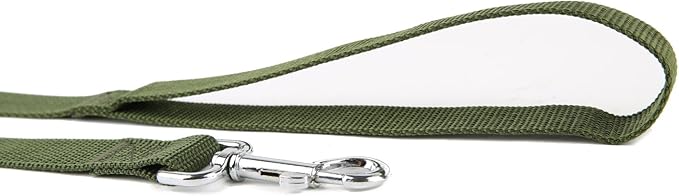 Nylon Dog Training Leash, Traction Rope, 4/5/6 Feet Long, 3/4 Inch 1 Inch Wide, for Small and Medium Dogs (1'' x 4 FT, Green)
