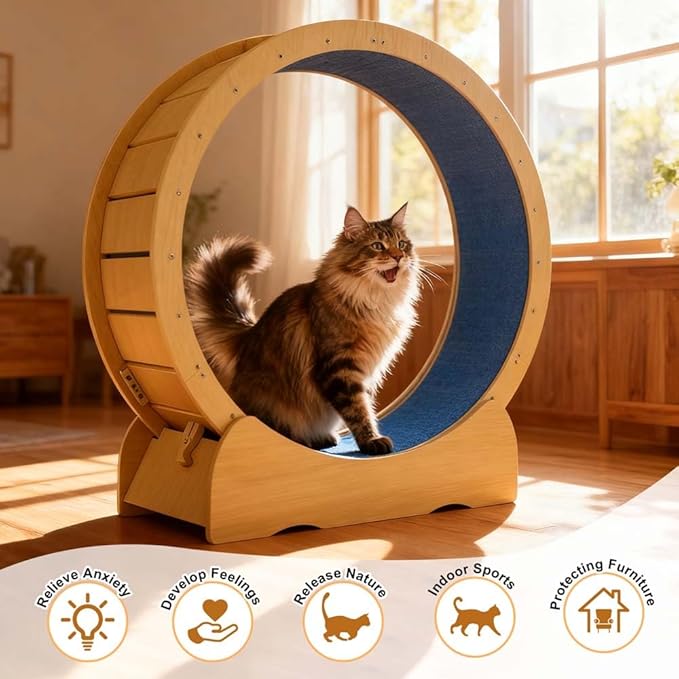 Upgraded Cat Exercise Wheel for Indoor Cats with Silent, Oversized Cat Running Wheel with Carpeted Runway for Fitness Activity Center Running (Oak)