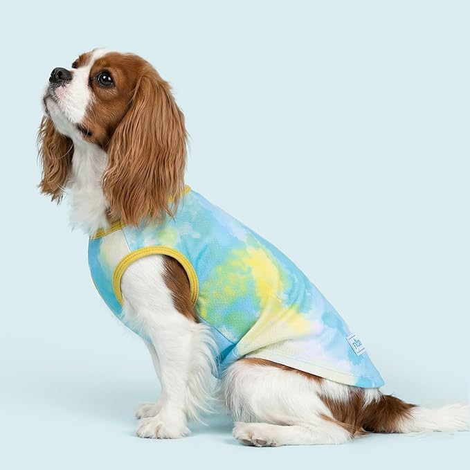 KYEESE 2Pack Dog Cooling Shirt, Breathable Dog Shirt for Small Medium Dogs, Sun Protection Dogs Cooling Vest Tank Top, Lightweight Soft Sleeveless Summer Pet Clothes, Purple+Blue, XL