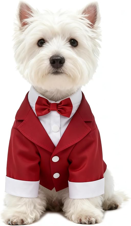GabeFish Pets Wedding Jackets Suit for Dogs with Bow Tie Puppy Cat Formal Clothes Shirt Tuxedo (Red, S (Chest 12.9in/33cm))