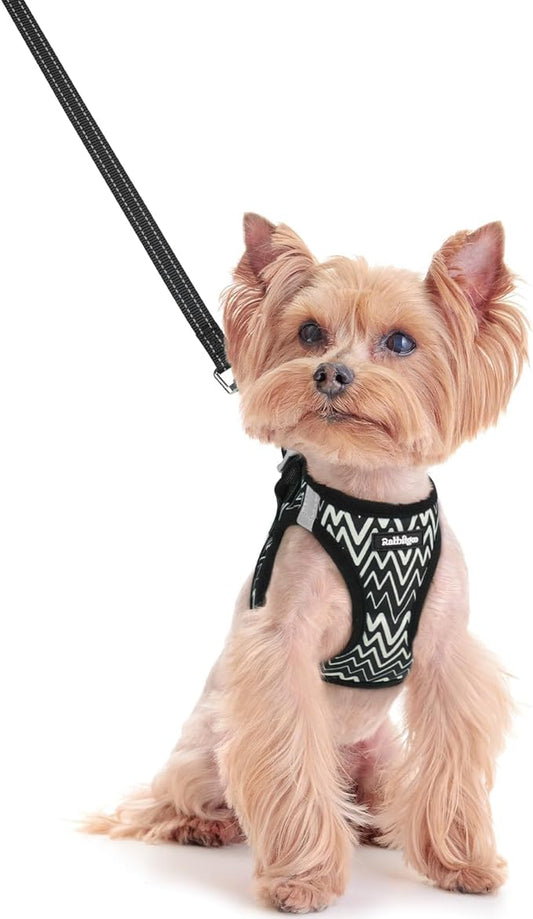 rabbitgoo Dog Harness Small Sized and Leash Set, Step in Soft Light Puppy Vest, Breathable Mesh Pet Harness, Reflective for Safe Easy Walking, Black Zigzag XXS