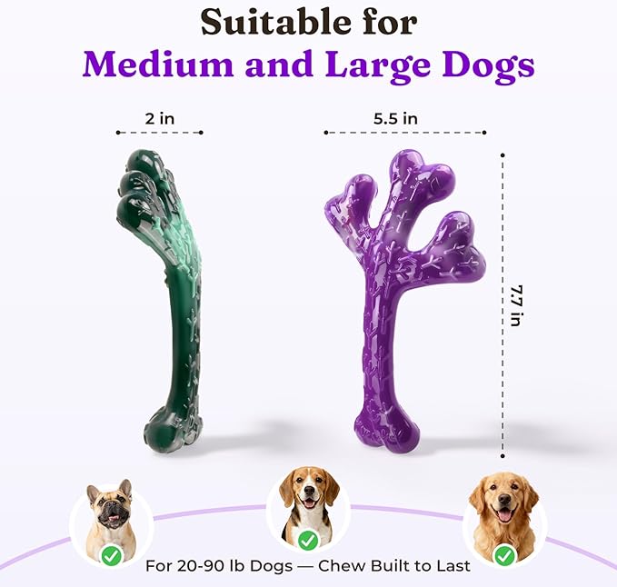 Frienhund 2 Pack Indestructible Dog Chew Toys for Aggressive Chewers - XL Textured Cactus with Grooves for Peanut Butter & Yogurt, Beef Nylon Bones for Large Dogs 20-90 lbs, Easy Chew & Long Lasting
