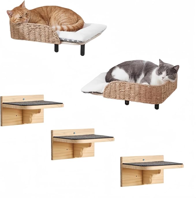 SHENGOCASE 2-Pack Wooden Cat Wall Window Bed with Handwoven Guardrail, Wall-Mounted Perch Furniture Set with 3 Steps