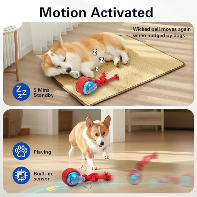 Interactive Dogs Ball Dog Toys with Super High-Speed Rechargeable Dog Toy Ball for Puppies