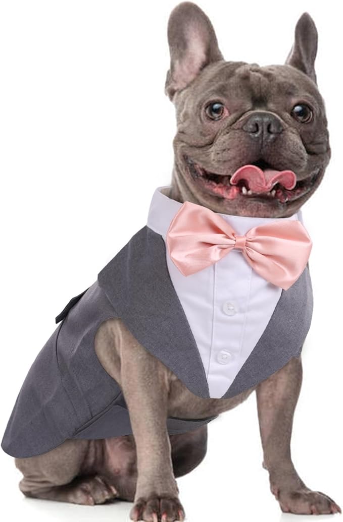 DORA BRIDAL Dog Tuxedo for Medium Dogs, Dog Suit and Bowtie, Formal Dogs Wedding Outfit, Pet Tuxedo and Bandana Set Valentines Birthday Costumes for French Bulldog, Pomeranian, Dachshund, Grey, M