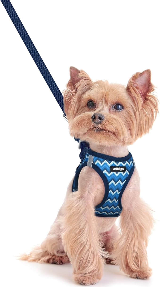 rabbitgoo Dog Harness Small Sized and Leash Set, Step in Soft Light Puppy Vest, Breathable Mesh Pet Harness, Reflective for Safe Easy Walking, Blue Zigzag XXS