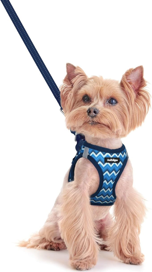 rabbitgoo Dog Harness Small Sized and Leash Set, Step in Soft Light Puppy Vest, Breathable Mesh Pet Harness, Reflective for Safe Easy Walking, Blue Zigzag XXS