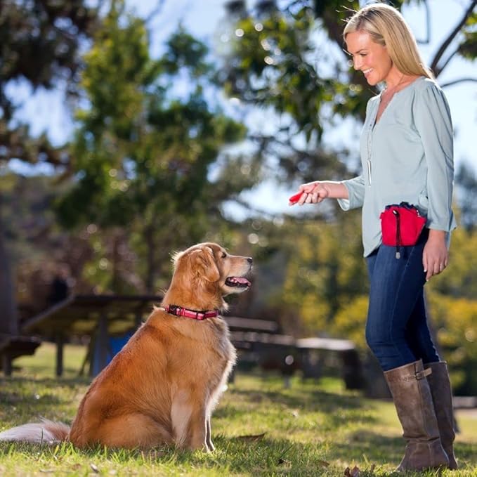 Company of Animals Whizzclick, Clicker and Whistle Combined, Recall and Reward Training, Wrist Strap, for All Dogs Including Sensitive Dogs and Puppies (Pack of 2)