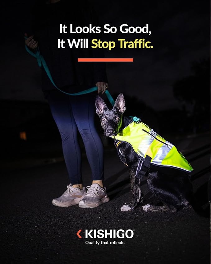 Reflective Dog Safety Vest, Harness and Collar Compatible, Waste Bag Holder, Water Resistant, Adjustable Neck and Chest, Day or Night Walking, High-Visibility Protection (Lime, L)