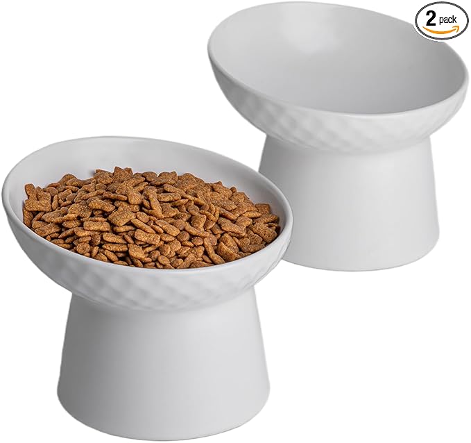 6 inch Small Ceramic Raised Cat Bowls, Tilted Elevated Food or Water Bowls, Stress Free, Backflow Prevention, Dishwasher and Microwave Safe, Lead & Cadmium Free(White 6 inch 2pc)