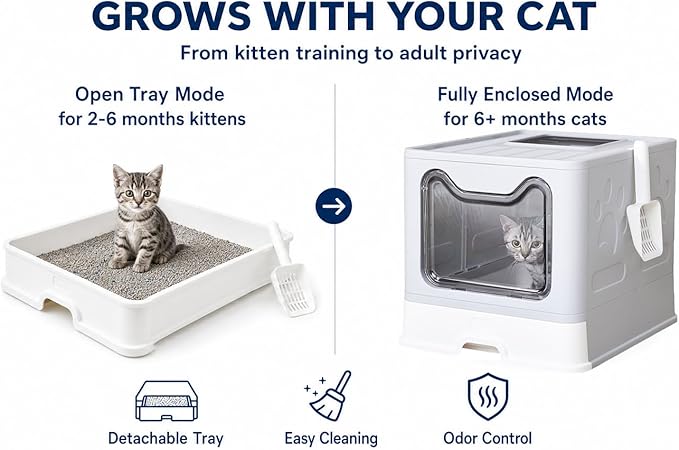 Medario Cat Litter Box with Litter Mat and Scoop, Large Covered Litter Box with Lid, Enclosed Kitty Box, Front Entry Top Exit, Odor Control, Easy to Clean (Grey)
