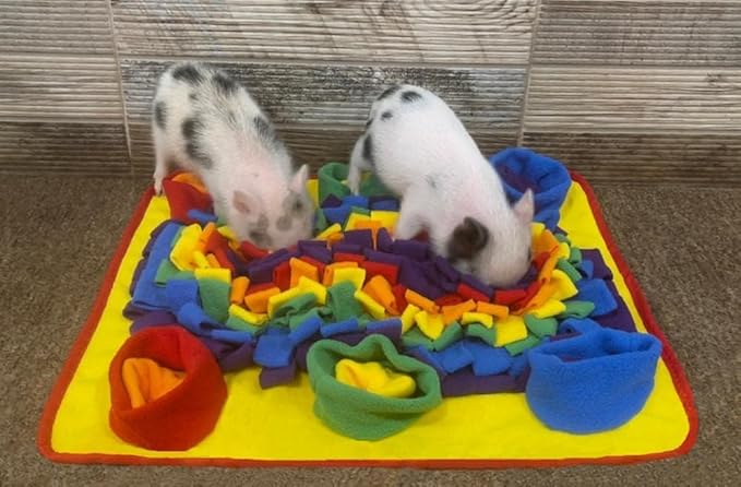 Interactive Dog Snuffle Mat for Mental Stimulation and Enrichment for Dogs, Pigs, Rabbits, and Other Pets (Rainbow)