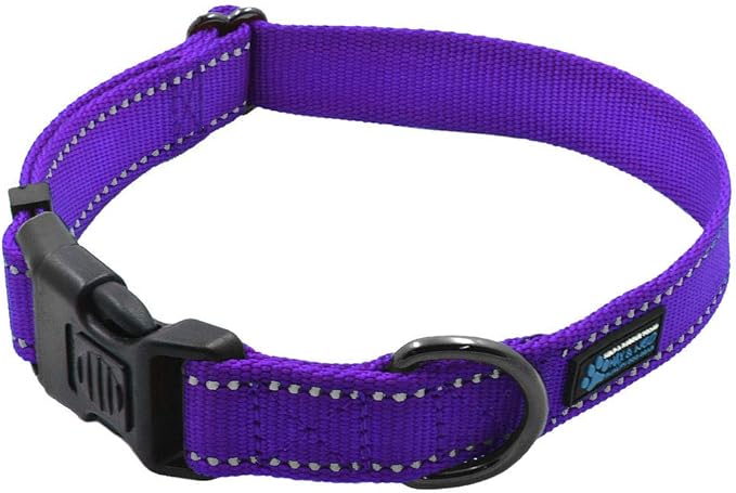 Max and Neo NEO Nylon Buckle Reflective Dog Collar - We Donate a Collar to a Dog Rescue for Every Collar Sold (Small, Purple)