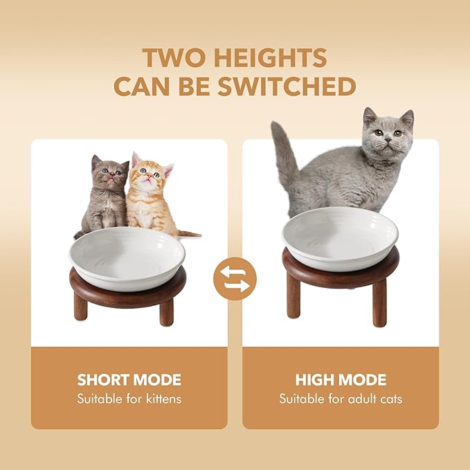 Havniva Elevated Cat Bowls Raised Ceramic Cat Bowl, 5.9” Wide Opening Cat Food Bowl Whisker Friendly Cat Dish Anti-Slip with Wood Stand, Shallow Pet Food & Water Bowl for Indoor Cats