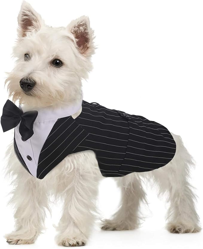 QBLEEV Dog Tuxedo Suit with Bow Tie, Formal Dog Tux Costume and Bandana Set for Wedding Outfit Birthday Party Cosplay Photo Shoot, Doggy Prince Attire for Chihuahua Yorkie Shih Tzu Pomeranian