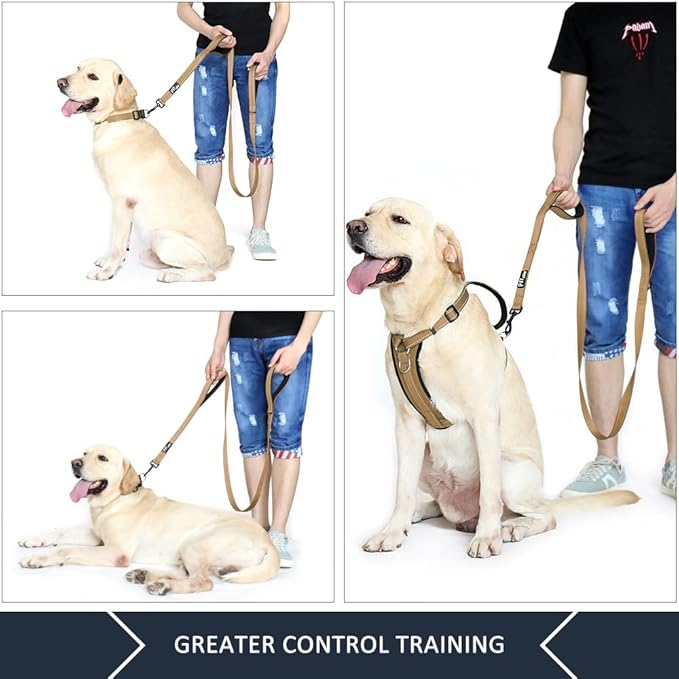 Plutus Pet Double Handle Dog Leash 6ft, Heavy Duty, Reflective Dual Handle Dog Leash for Safety Training, for Medium Large Dogs,2 Handle Leads(Brown)