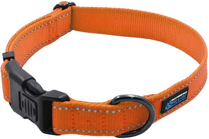 Max and Neo NEO Nylon Buckle Reflective Dog Collar - We Donate a Collar to a Dog Rescue for Every Collar Sold (Small, Orange)
