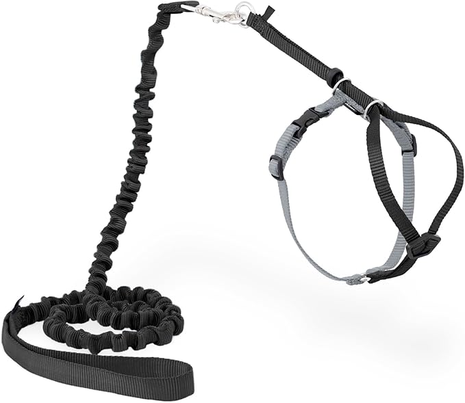 PetSafe Come with Me Kitty Harness and Bungee Leash Adjustable, Lightweight Harness for Cats Small, Black