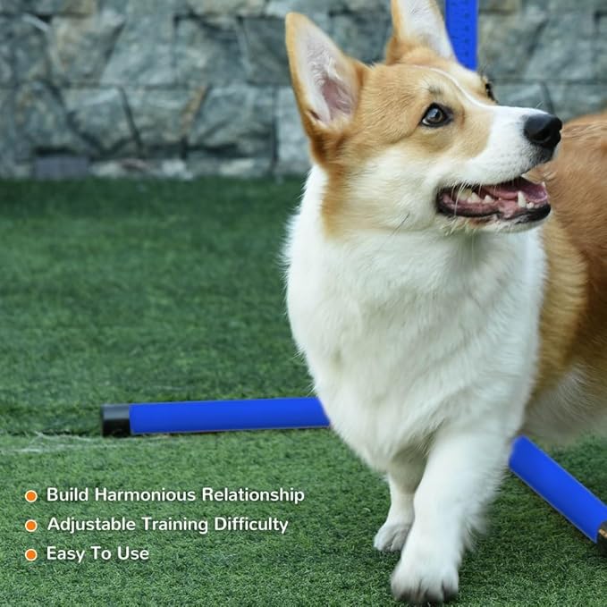 anwickjeff 4 Piece Dog Agility Training Equipment with Adjustable Height Jump Bars, Included Carry Bag, & Displacing Top Bar, Obstacle Course for Dogs Backyard Exercise Competitive (Blue, 4 Piece)