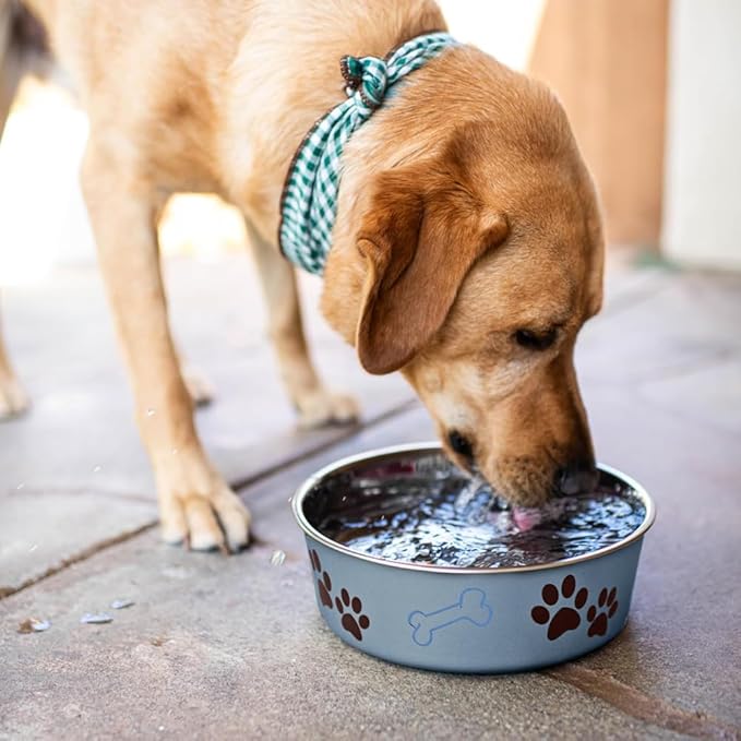 Loving Pets Bella Dog Bowls - Stainless Steel Dog & Cat Bowls - Spill Proof Dog Food Bowl, Cat Bowl, Puppy Essentials & Pet Supplies Great for Home & Travel (Small 10-20 lbs, Blueberry)