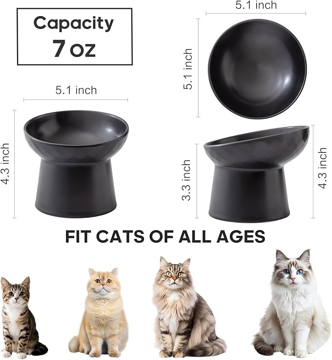 Ceramic Raised Cat Bowls - Elevated Tilted Cat Food and Water Bowls Set, Anti Vomiting and Protect Pets' Spines Pet Feeding Dish for Cats, Dishwasher Microwave Safe (2 x Bowl - Black)