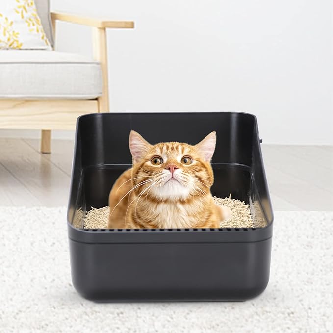 Sfozstra Black Small Cat Litter Box - Open Top with High Sides & Sifting, Leak-Proof & Odor-Reducing, Removable Liner, Easy-Clean ABS, for Cats Up to 8 lbs
