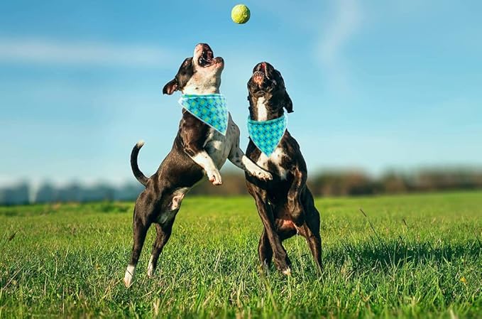 Lionet Paws Dog Bandana,Fabric Ball Dogs Kerchief for Medium Large Dogs,Dog Cotton Triangle Bibs Scarf for Girl Boy