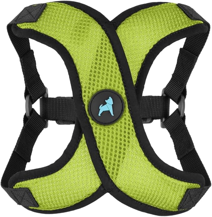 Gooby Comfort X Step in Lite Dog Harness - Choke Free, Escape Free with Light Breathable Mesh - Step in Dog Harness for Small Dogs Only - Quick Release Buckle, Metal D-Rings - Green, X-Large