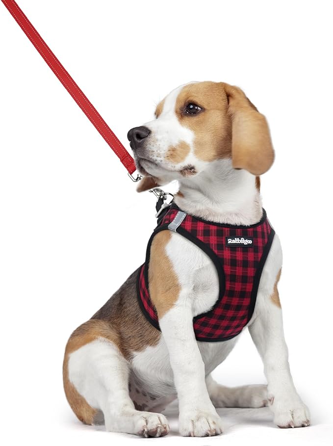 rabbitgoo Dog Harness Small Medium Sized and Leash Set, Step in Soft Light Puppy Vest, Breathable Mesh Pet Harness, Reflective for Safe Easy Walking, Red Check L