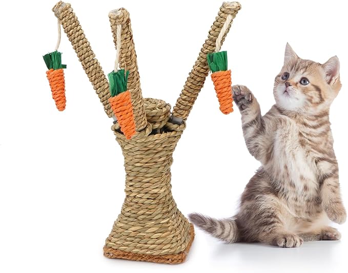 Hypeety Natural Rattan Carrot Chew Toy for Rabbits Durable Bunny Toys for Indoor Bunnies Safe Chewing and Climbing Enrichment
