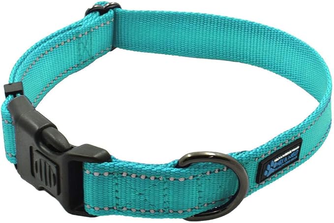 Max and Neo™ NEO Nylon Buckle Reflective Dog Collar - We Donate a Collar to a Dog Rescue for Every Collar Sold (Small, Teal)