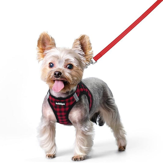 rabbitgoo Dog Harness Small Sized and Leash Set, Step in Soft Light Puppy Vest, Breathable Mesh Pet Harness, Reflective for Safe Easy Walking, Red Check XXS