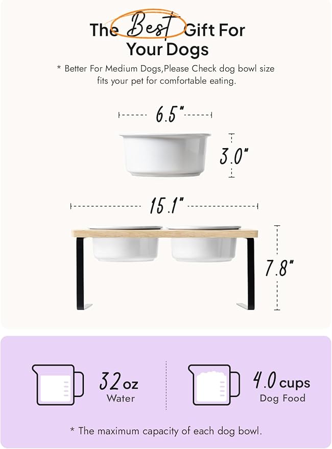 LE TAUCI PET Elevated Dog Bowls, Raised Dog Bowl Stand with Two 6.5 inch Ceramic Bowl, Non-Slip Puppy Food and Water Bowls, Dogs Feeder for Small and Medium Breed, White
