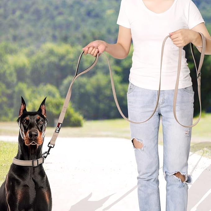 Plutus Pet Double Handle Dog Leash 5ft, Heavy Duty, Reflective Dual Handle Dog Leash for Safety Training, for Medium Large Dogs,2 Handle Leads(Beige)