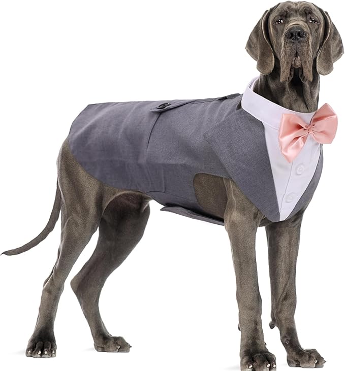DORA BRIDAL Dog Tuxedo for Large Dogs, Dog Suit and Bowtie, Formal Dogs Wedding Outfit, Pet Tuxedo and Bandana Set Valentines Birthday Christmas Party Costumes for Labrador,Golden Retriever, Grey,XL