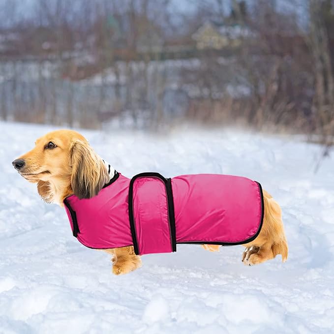 Dachshund Raincoat Corgi Raincoat Dogs Waterproof fit for Dachshunds Weiner Long Back Breeds with Reflective Stripe Great Coverage in Autumn Winter - Pink - XS