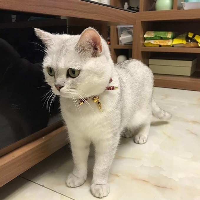 Cute Bowtie Cat Collar with Bell. Japanese Stylish Bowknot & Fish Charm. Safety Breakaway, Soft, Lightweight, for Girl Boy Male Female Cats Kitten,Red