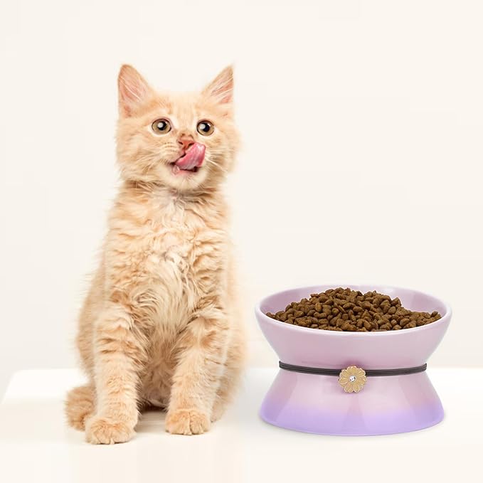 Cute Ceramic Tilted Food Bowls for Indoor Cats Cat Bowl Elevated Cat Bowls Whisker Friendly 6.1 Inch Wide 15° Raised Kitten Supplies Dishwasher and Microwave Safe Purple Cats Water Bowl