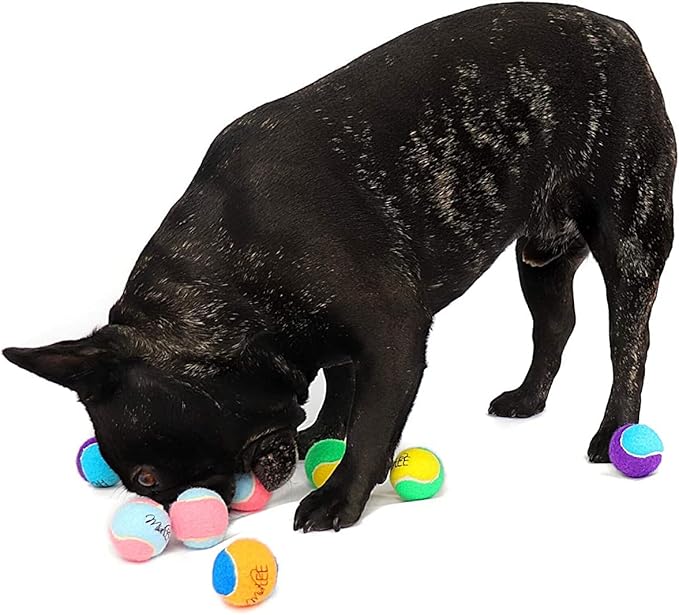 Midlee X-Small Dog Tennis Balls 1.5" Pack of 12 (Assorted, 1.5 inch)