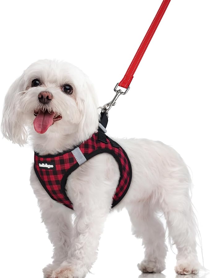 rabbitgoo Dog Harness Small Sized and Leash Set, Step in Soft Light Puppy Vest, Breathable Mesh Pet Harness, Reflective for Safe Easy Walking, Red Check M