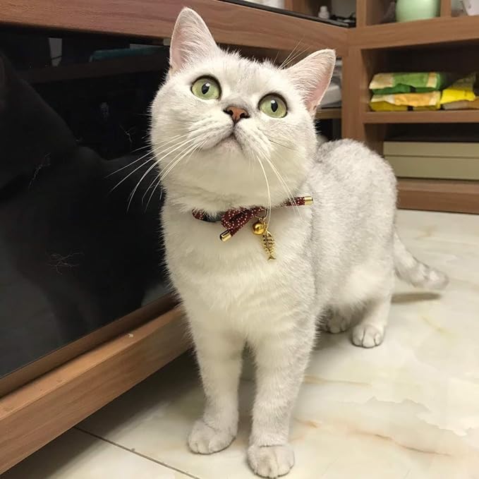 Cute Bowtie Cat Collar with Bell. Japanese Stylish Bowknot & Fish Charm. Safety Breakaway, Soft, Lightweight, for Girl Boy Male Female Cats Kitten,Navy Blue