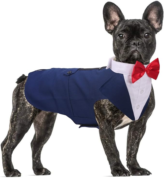 QBLEEV Dog Tuxedo Suit with Bow Tie, Formal Gentleman Dog Tux Costume and Bandana Set for Wedding Outfit Birthday Party Cosplay Photo Shoot, Doggy Prince Attire for Maltese Dachshund Corgi Beagle