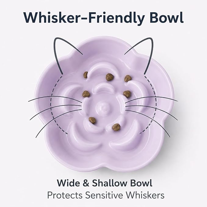 Ceramic Elevated Slow Feeder Cat Bowl, Raised and Gently Tilted Feeding Dish with Maze Design, Whisker-Friendly, Easy to Clean, for Indoor Cats and Small Dogs (Yellow/Purple)