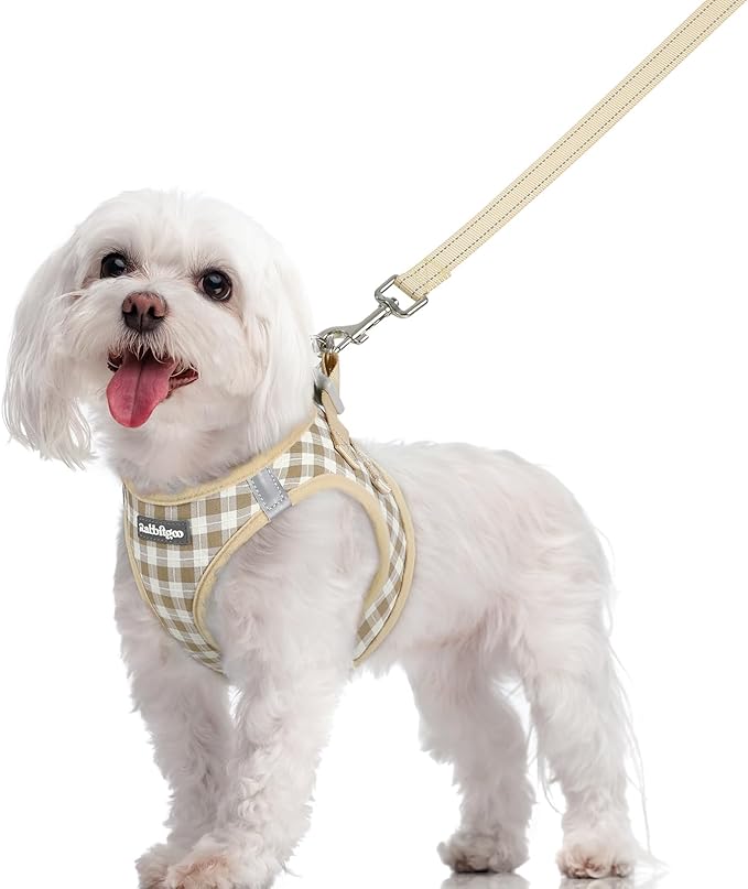 rabbitgoo Dog Harness Small Sized and Leash Set, Step in Soft Light Puppy Vest, Breathable Mesh Pet Harness, Reflective for Safe Easy Walking, Beige Plaid M