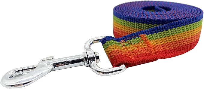 Nylon Dog Training Leash, Traction Rope, 4/5/6 Feet Long, 3/4 Inch 1 Inch Wide, for Small and Medium Dogs (1'' x 5 FT, Rainbow)