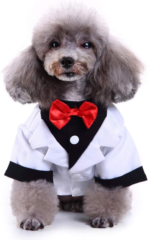 GabeFish Pets Wedding Jackets Suit for Dogs with Bow Tie Puppy Cat Formal Clothes Shirt Tuxedo (White, M (Chest 15.3in/39cm)