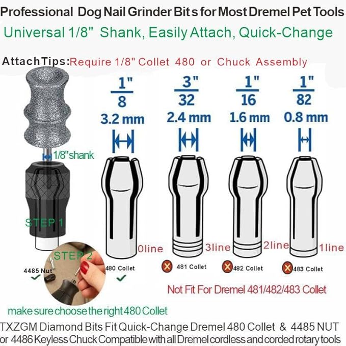 Diamond Dog Nail Grinder Bit Compatible with Diamondg & Dremel 7760 & 7350, 1/8'' Stress-Free Replacement Head Attachment, Ideal for Medium, Large & XL Dogs, Thick Nail Grooming, 2-Pack