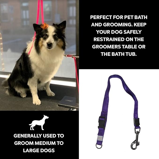 Groomers Helper® Patented 5/8" Loop - Pet Grooming Safety Loop for Dog Bathing, Dog Grooming & Trimming (Purple)