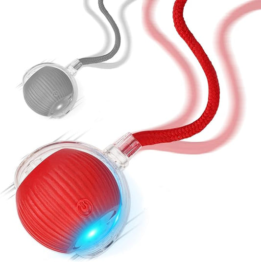 Goosheep 2025 New 2Pack Cat Ball Kitten Toys for Indoor Interactive Kitty Ball Toy Speedy Tail 360° Automatic Rolling for Dog, Cat(Red Grey)